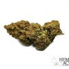 infiorescenza CBD Goleador