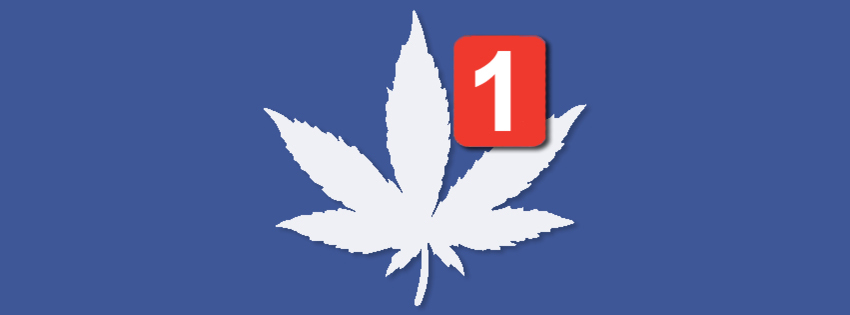 FACEBOOK  CONDANNA LA CANNABIS LIGHT: QUANTO I SOCIAL NETWORK INFLUISCONO SULLA CENSURA?