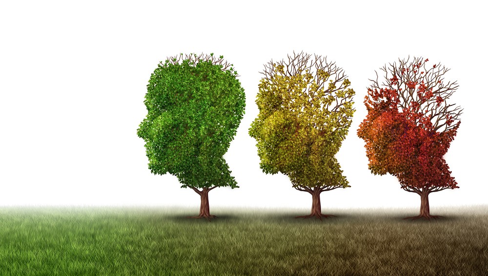 Cannabis per sconfiggere l’Alzheimer: uno studio americano lo conferma