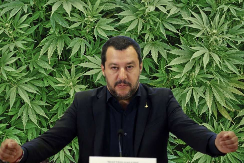 Matteo Salvini contro la canapa, ecco perché proteggere l’industria canapiera è fondamentale