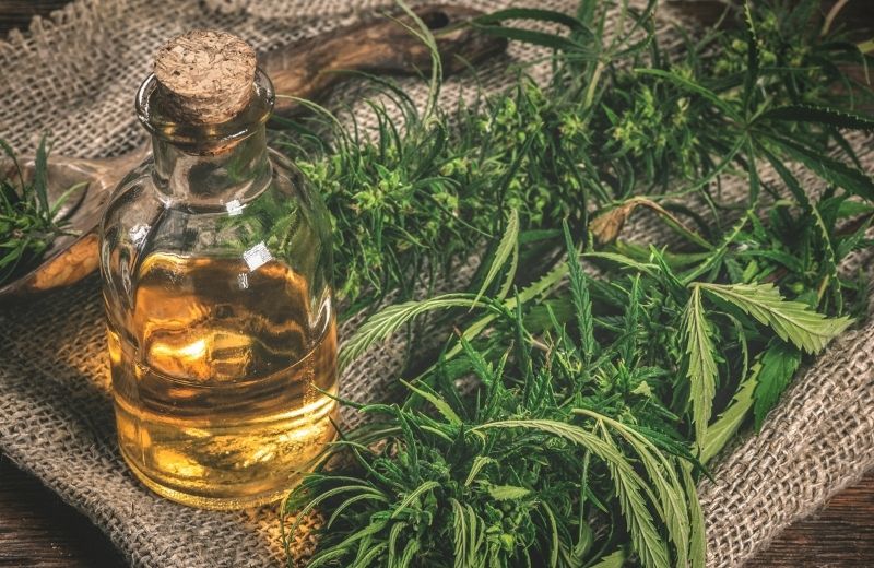 CBD, cos’è, effetti e proprietà